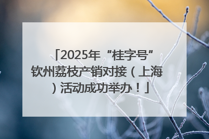 2025年“桂字号”钦州荔枝产销对接（上海）活动成功举办！