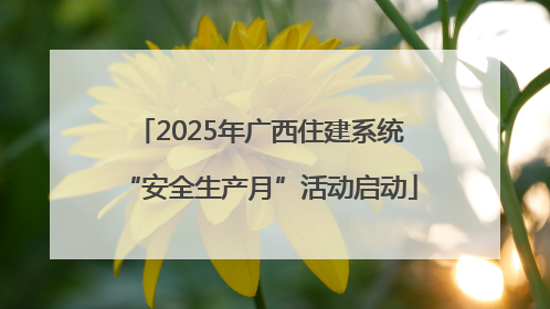 2025年广西住建系统“安全生产月”活动启动