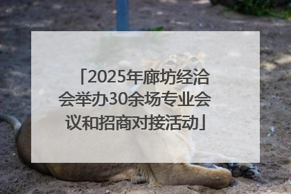 2025年廊坊经洽会举办30余场专业会议和招商对接活动