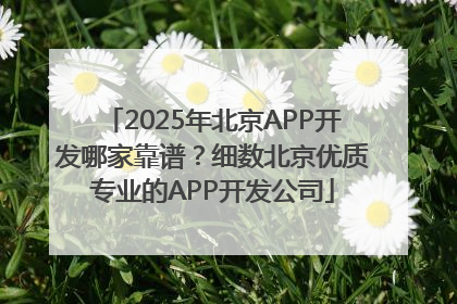 2025年北京APP开发哪家靠谱？细数北京优质专业的APP开发公司