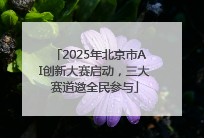 2025年北京市AI创新大赛启动，三大赛道邀全民参与
