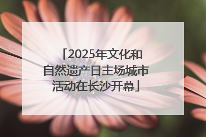 2025年文化和自然遗产日主场城市活动在长沙开幕