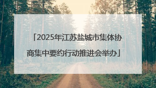 2025年江苏盐城市集体协商集中要约行动推进会举办