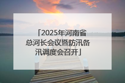 2025年河南省总河长会议暨防汛备汛调度会召开