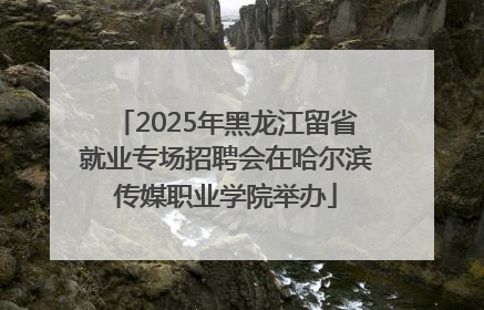 2025年黑龙江留省就业专场招聘会在哈尔滨传媒职业学院举办