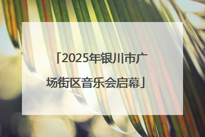 2025年银川市广场街区音乐会启幕