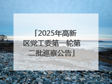 2025年高新区党工委第一轮第二批巡察公告