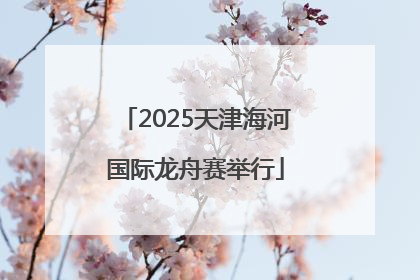 2025天津海河国际龙舟赛举行