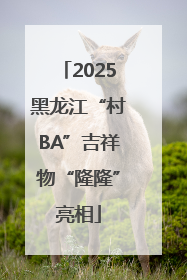 2025黑龙江“村BA”吉祥物“隆隆”亮相