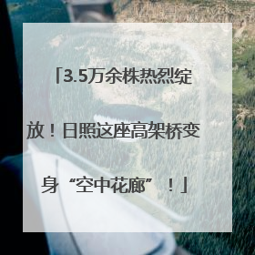 3.5万余株热烈绽放！日照这座高架桥变身“空中花廊”！
