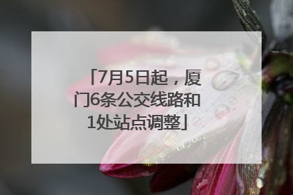 7月5日起，厦门6条公交线路和1处站点调整