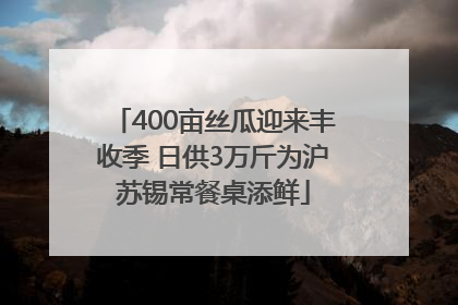 400亩丝瓜迎来丰收季 日供3万斤为沪苏锡常餐桌添鲜