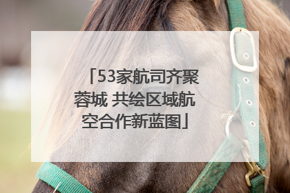 53家航司齐聚蓉城 共绘区域航空合作新蓝图