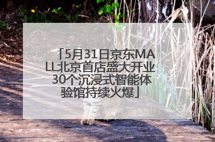 5月31日京东MALL北京首店盛大开业 30个沉浸式智能体验馆持续火爆