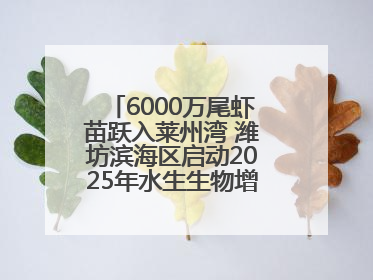 6000万尾虾苗跃入莱州湾 潍坊滨海区启动2025年水生生物增殖放流工作