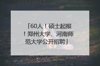 60人！硕士起报！郑州大学、河南师范大学公开招聘