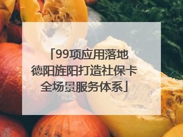 99项应用落地 德阳旌阳打造社保卡全场景服务体系