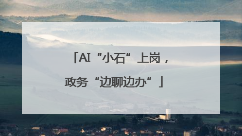 AI“小石”上岗，政务“边聊边办”