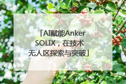 AI赋能Anker SOLIX，在技术无人区探索与突破
