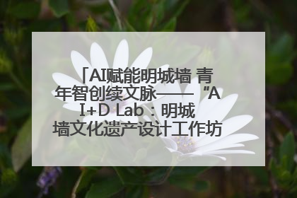 AI赋能明城墙 青年智创续文脉——“AI+D Lab：明城墙文化遗产设计工作坊”在南京开营